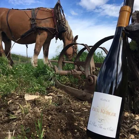 Appartamento La Tete Au Soleil