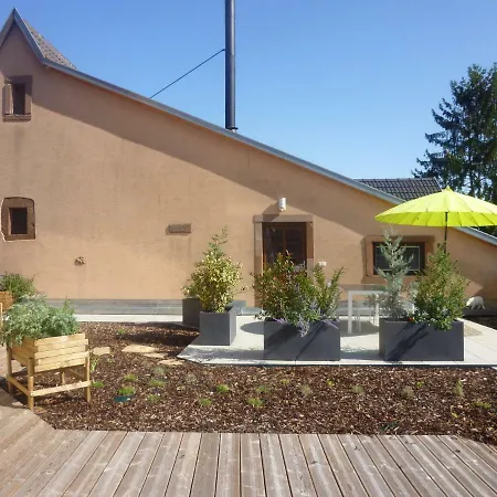 La Tete Au Soleil