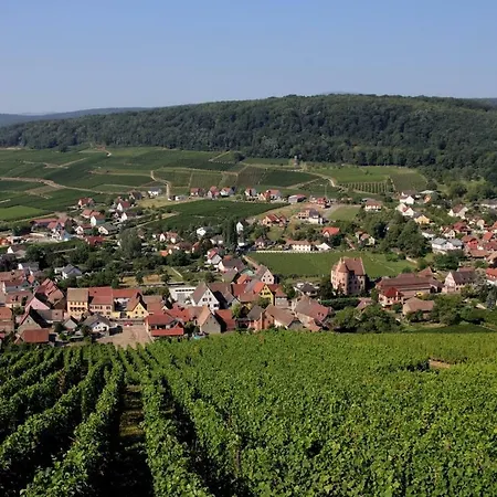 Apartamento La Tête Au Soleil Soultzmatt